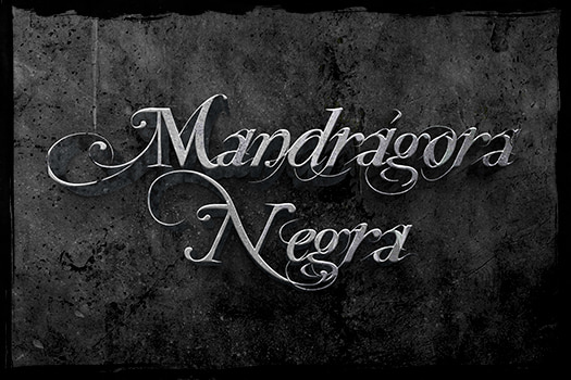 Mandrágora Negra - Biografía 01
